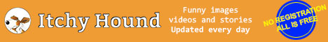 Itchy Hound - daily updated fun and entertainment